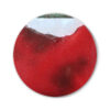 FG-084H Lady Bird