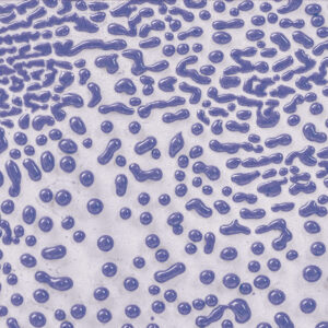 CR-54 Purple